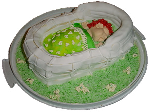 Baby Bassinet Cake